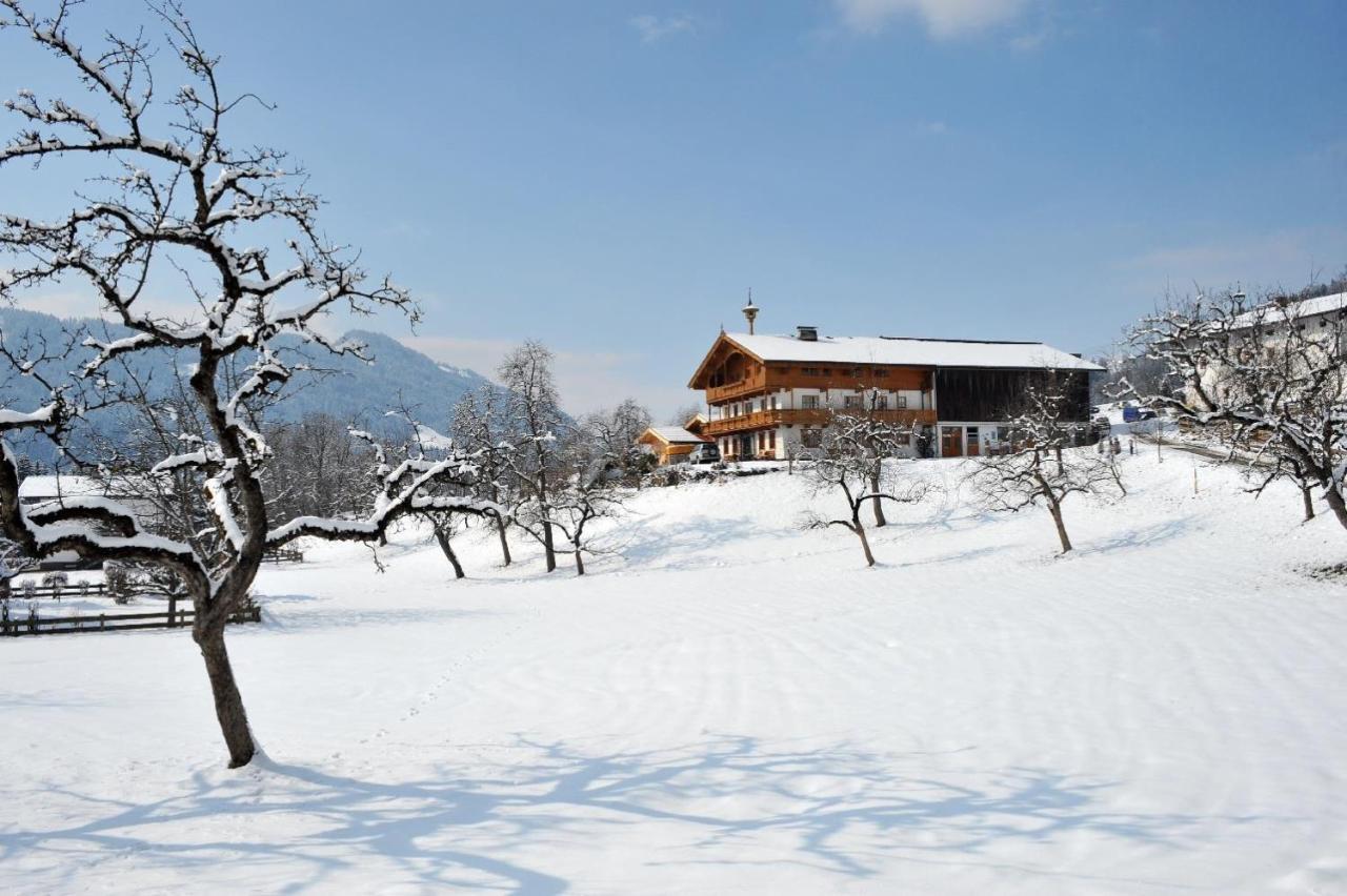 Stegerbauer Villa Kirchbichl Kültér fotó
